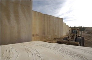 Amarillo Fosil - Yellow Fossil Limestone Quarry