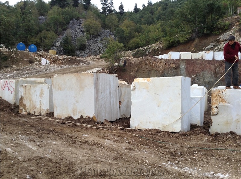 Flora Beige Marble Quarry