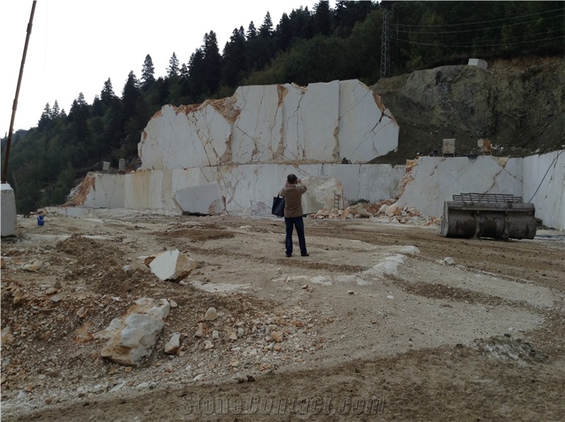 Flora Beige Marble Quarry
