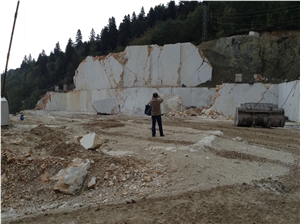 Flora Beige Marble Quarry