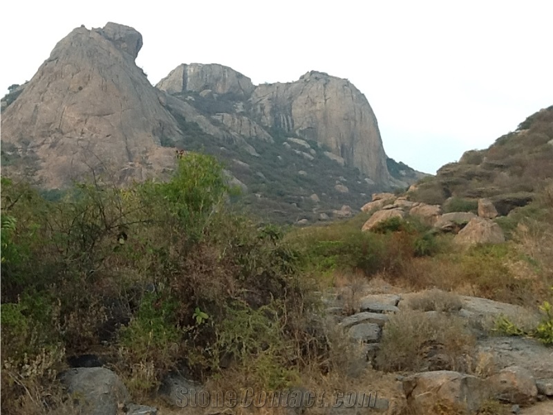 Tan Brown Granite Quarry