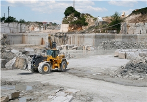 Travertino Silver-Travertino Romano Ocean Silver Quarry