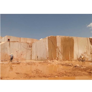 Wellest M729 Golden Emperador Marble