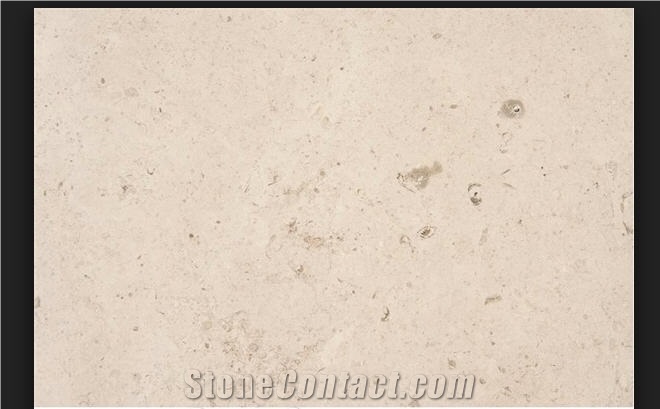 Branco Fossil Limestone MJF-LDA Quarry Serra Candeeiros