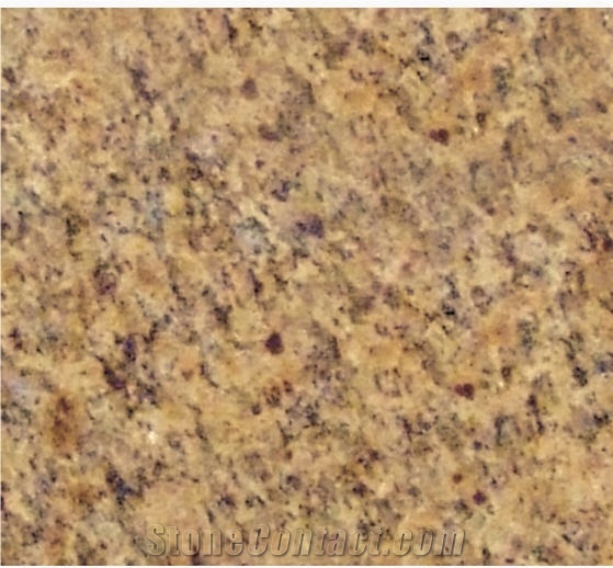 Giallo Santa Cecilia Granite - OWN QUARRY