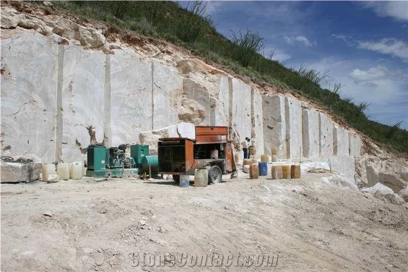 Miele Onyx Quarry