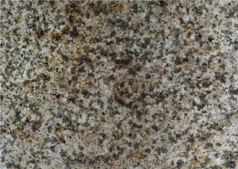 Rusty yellow granite Zhangzhou G682 Chinese granite Giallo Fantasia