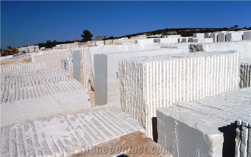 Relvinha C Limestone, Relvinha F Limestone Quarry