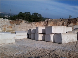 Branco Fossil Limestone MJF-LDA Quarry Serra Candeeiros