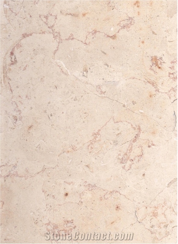 Jerusalem Bone Cream, Hebron Bone Limestone Quarry