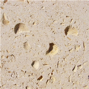 Armadillo Quarry - Cordova Shell Limestone