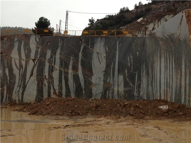 Gris Imperial Marble- Gris Cehegin Marble Quarry