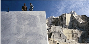 Bianco Venato Gioia Marble