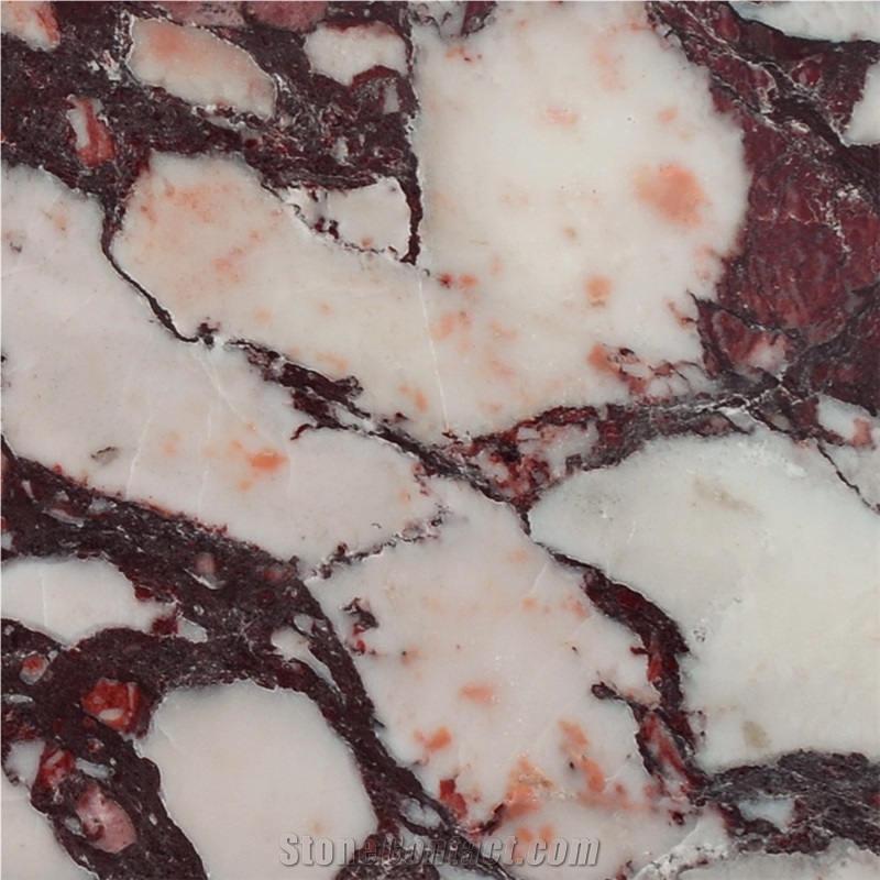 Breccia Vagli Violetta Marble Quarry II