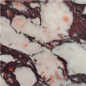 Breccia Vagli Violetta Marble Quarry II