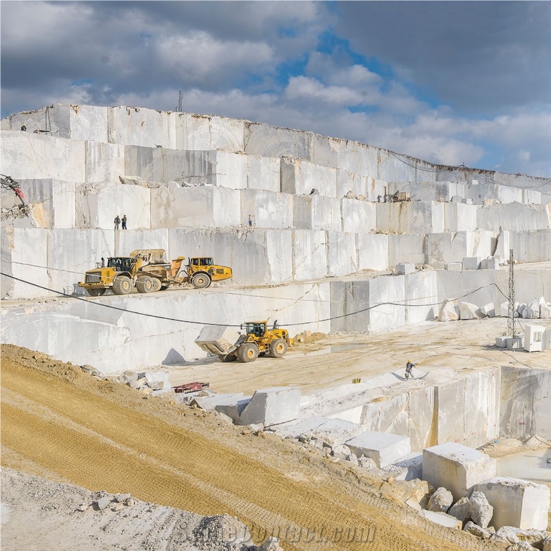 Zebra Grey Marble Quarry