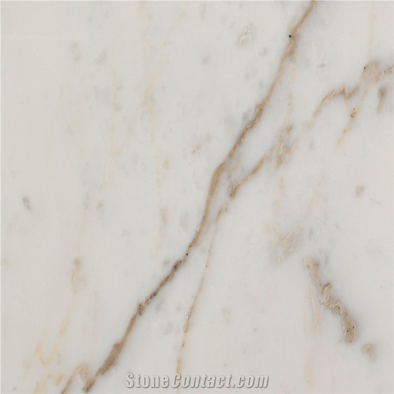 Calacatta Delicato Marble Quarry V