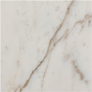 Calacatta Delicato Marble Quarry V