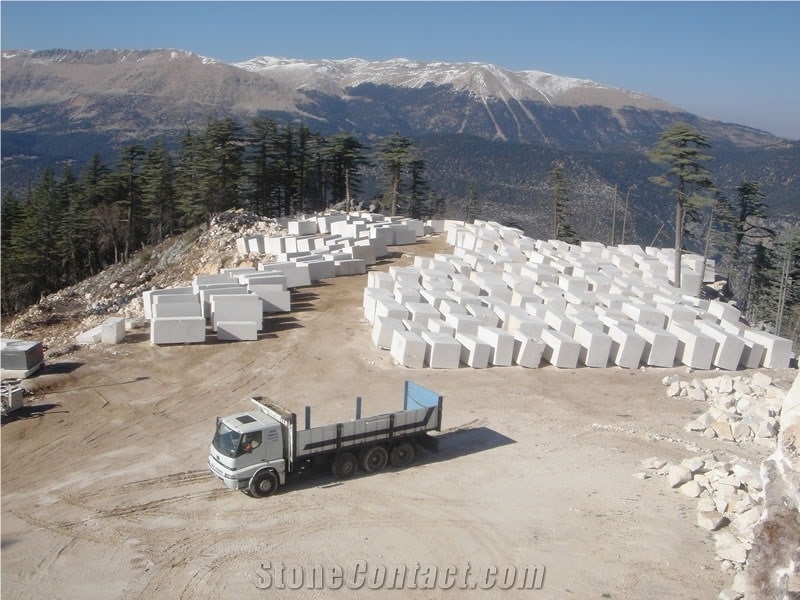 Yazir Spider Beige Limestone Quarry