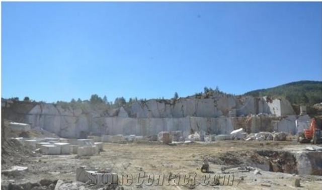 Olive Maroon Marble, Olive Marone Light Marble Quarry