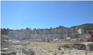 Olive Maroon Marble, Olive Marone Light Marble Quarry