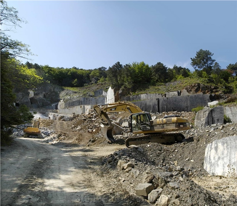 Portoro Oro - Portoro Gold Marble Quarry