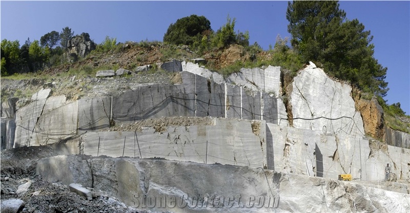 Portoro Oro - Portoro Gold Marble Quarry