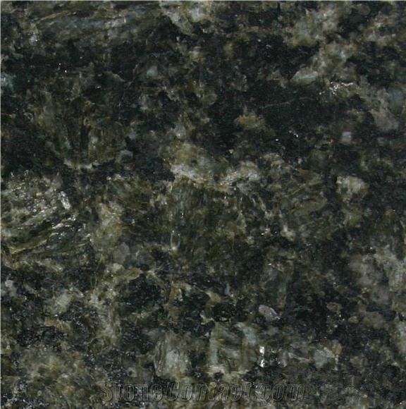Verde Butterfly Granite Countertop, Verde Cotaxe Big Slab,Verde Corallo Middle Slab,Verde Venecia Kitchen Top,Verde Reale,Verde Papillon Custom Countertops,Butterfly Green Island,Green Butterfly Bar