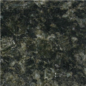 Verde Butterfly Granite Countertop, Verde Cotaxe Big Slab,Verde Corallo Middle Slab,Verde Venecia Kitchen Top,Verde Reale,Verde Papillon Custom Countertops,Butterfly Green Island,Green Butterfly Bar