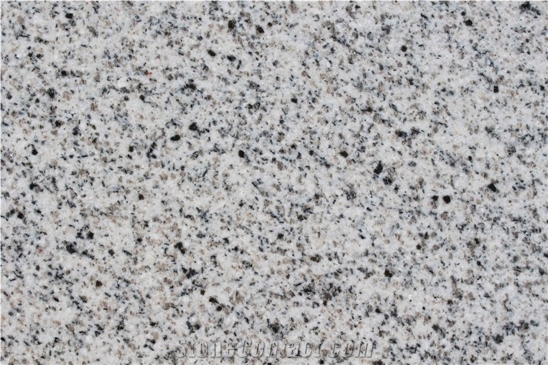 G365 Shandong White Granite Slabs Tiles