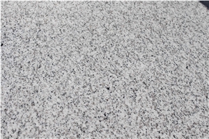 Shandong White Sesame G365 Muping Granite Polished Tiles Cheap Prices