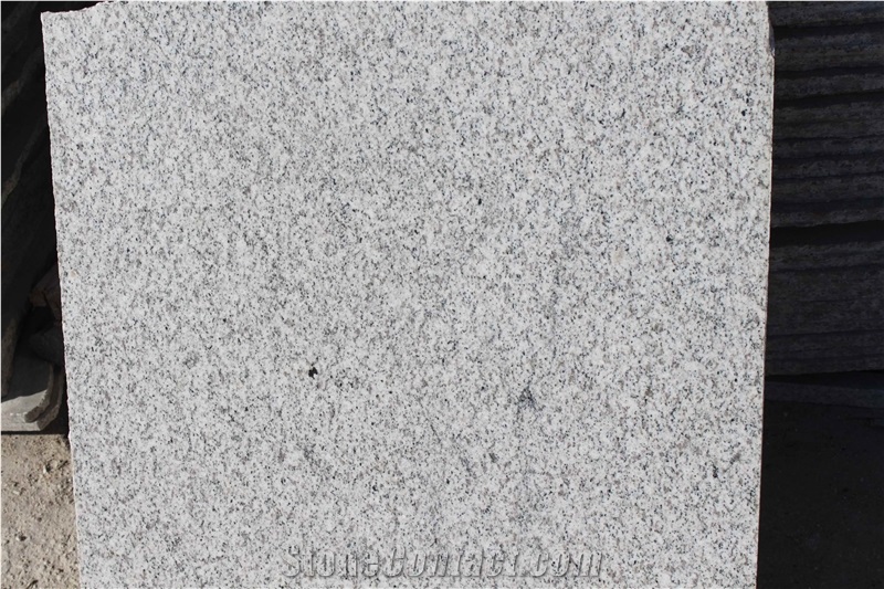 Shandong White Sesame G365 Muping Granite Polished Tiles Cheap Prices