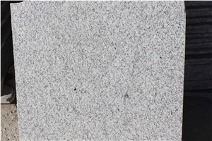Shandong White Sesame G365 Muping Granite Polished Tiles Cheap Prices