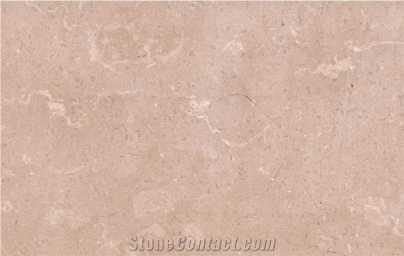 Desert Beige Limestone