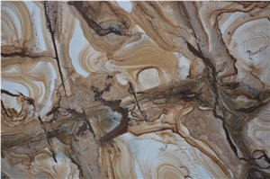 Super Exotic Palomino Quartzite (Stone Wood Quartzite)