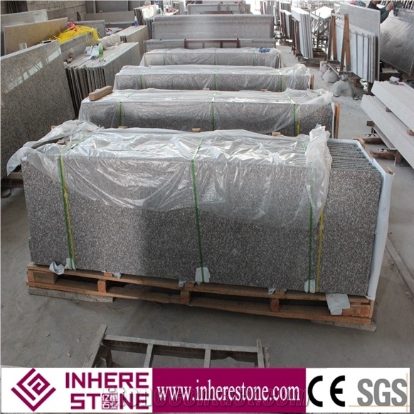 Cheap Polished G664 Granite/Luo Yuan Red Granite/ Brainbrook Brown Granite/Black Spots Brown Granite/China Pink for Kitchen Countertops