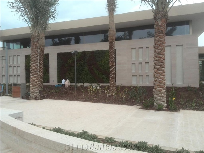 Beige Sandstone, Wall Cladiing, Stone Bricks, Paving Stone