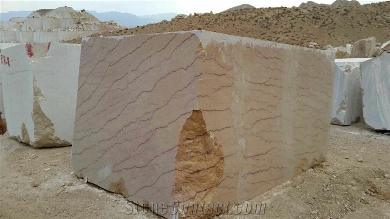 Shell Beige Marble Blocks Iran