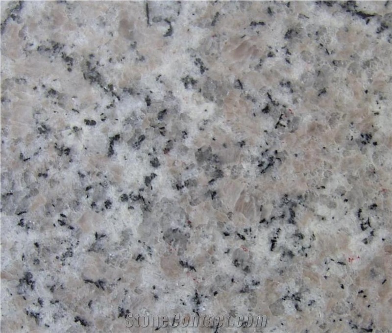 G636 Granite Slabs & Tiles, China Rosa Sardo Beta Pink Granite Tiles