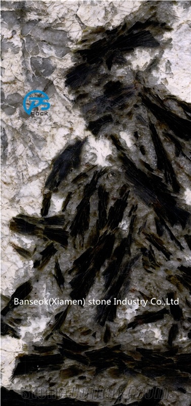 Black and White Quartzite Slab & Tile, Quartzite Floor for Sale
