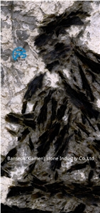Black and White Quartzite Slab & Tile, Quartzite Floor for Sale Black and White Quartzite Slab & Tile, Quartzite Floor for Sale