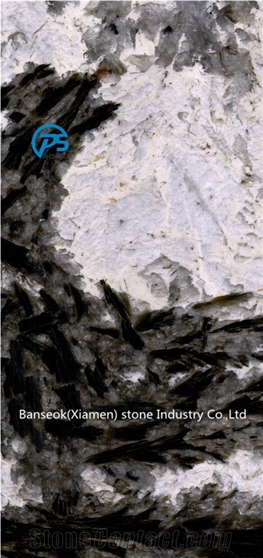 Black and White Quartzite Slab & Tile, Quartzite Floor for Sale