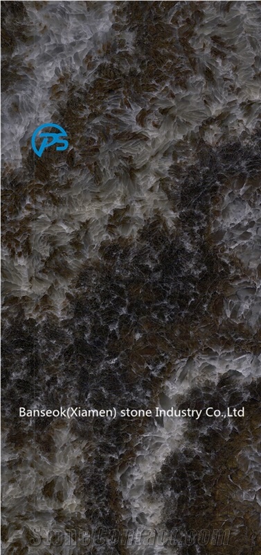 Black Quartzite Slab & Tile, Wall Decorative, Quartzite for Sale