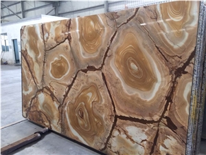 Golden Agate, Stone Wood Quartzite Golden Agate, Stone Wood Quartzite