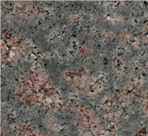 Bala Flower Granite Tiles & Slabs, Green Polished Granite Floor Covering Tiles, Floor Tiles India