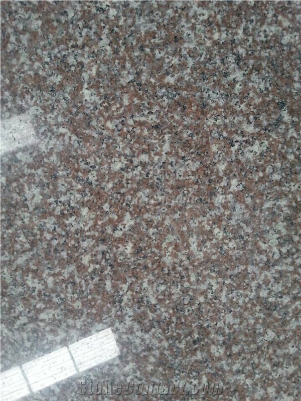 Chinese Cheap Red Granite, G664/Luo Yuan Red/Copper Brown/China Ruby Red/Luna Pearl Granite Tiles & Slabs for Walling and Flooring