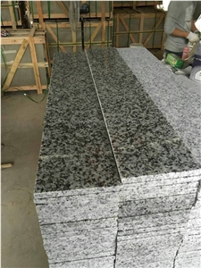 Chinese Hot Sale White Granite Stairs & Steps, G439/China Grey/Big White Flower Granite Stairs, Top Polished Steps & Risers, Stair Treads & Thresholds