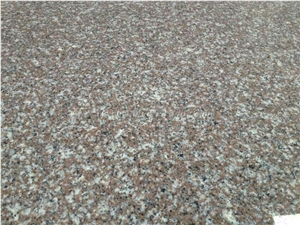 G635 Granite/Anxi Red/Rose Pearl/Sakura/Padang Rosa/G663/Flower Pink Granite Top Polished Tiles & Slabs