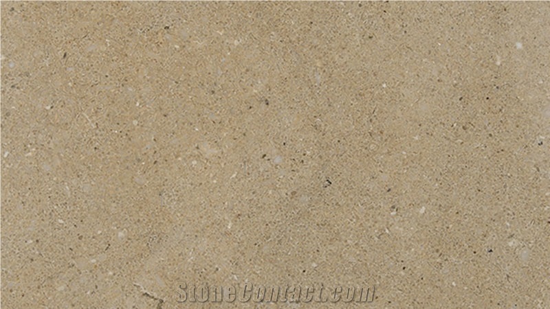 Gray Moca Limestone Pool Pavement, Pool Coping, Grey Limestone Pool Coping