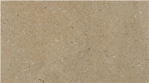 Gray Moca Limestone Pool Pavement, Pool Coping, Grey Limestone Pool Coping